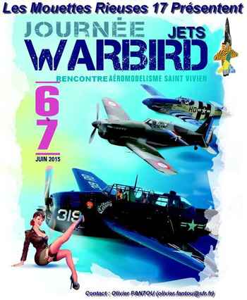 Affiche journÃ©e Warbird vignette